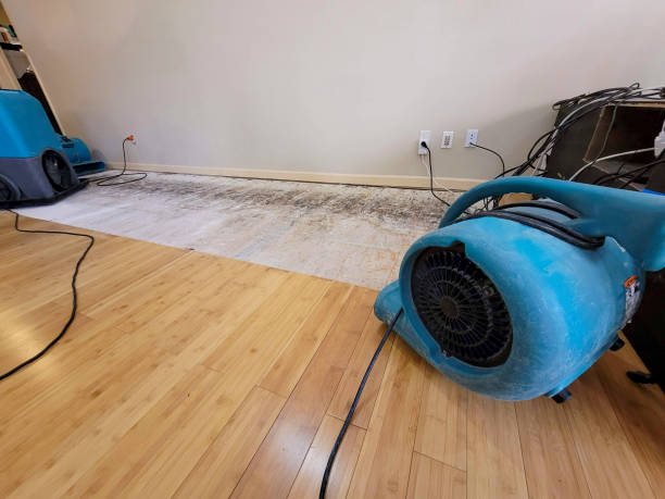 Reliable Basement Flood Cleanup contractor in Garrison, TX by Hirex Water Damage