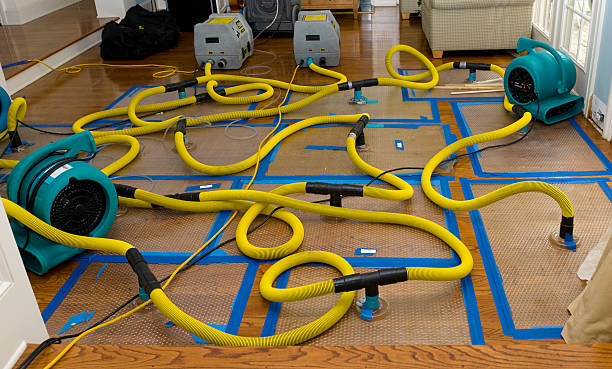 Professional Basement Flood Cleanup technician working in Garrison, TX