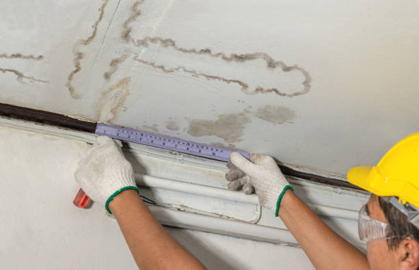 Affordable Basement Flood Cleanup solutions in Garrison, TX